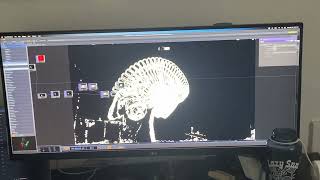 Celebrity feedback loop Profile