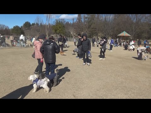 Hachiojiyama Park dog run facility opens in Ota City, Gunma (26/02