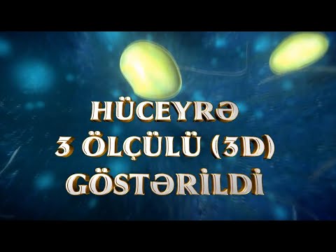 Video: Hüceyrə Polikarbonatı: Xüsusiyyətləri Və Istifadəsi