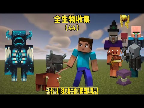 全生物收集（44）：将潜影贝带回主世界，并装修房间