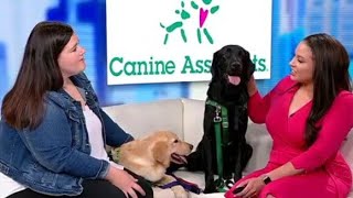 It's National Service Dog Month, meet our helpful furry friends | FOX 5 News