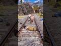 Simulate extreme hunting &amp; survival skills vol259 rdr2 #shorts #short