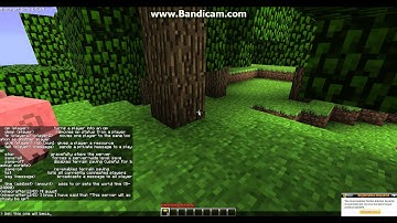 Beta 1.5_01 Server (Back up)