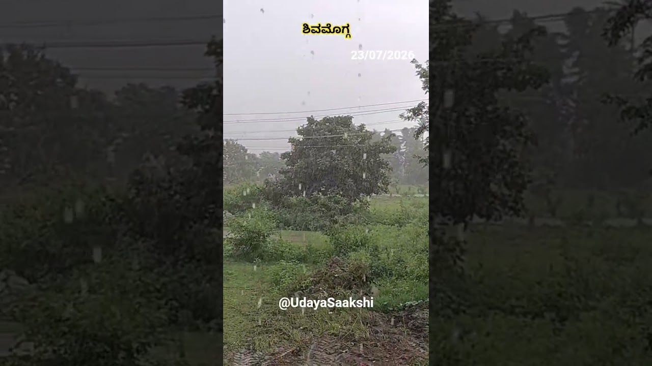 ಶಿವಮೊಗ್ಗ : 23/07/2026 ರಂದು ಮಧ್ಯಾಹ್ನ ಬಿದ್ದ ಮಳೆ.#shimoga #shivamogga #rain #monsoon #rainfall