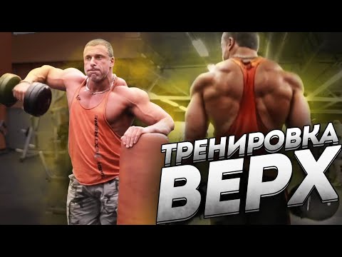 Видео: Тренировка для верхней части тела «Верх» Станислав Линдовер