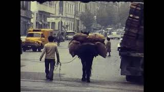 Viña y Valparaíso en los 70s