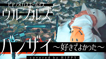 ウルフルズ バンザイ 好きでよかった Coverd By Hippy Mp3 ウルフルズ バンザイ 好きでよかった Coverd By Hippy Mp3