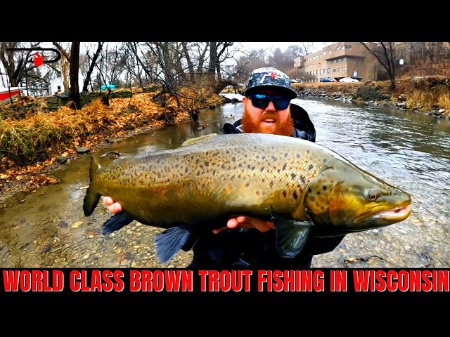 World Class Brown Trout Fishing Close to Chicago - YouTube
