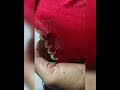 #handbroidery #border line #embroidery with button stitch
