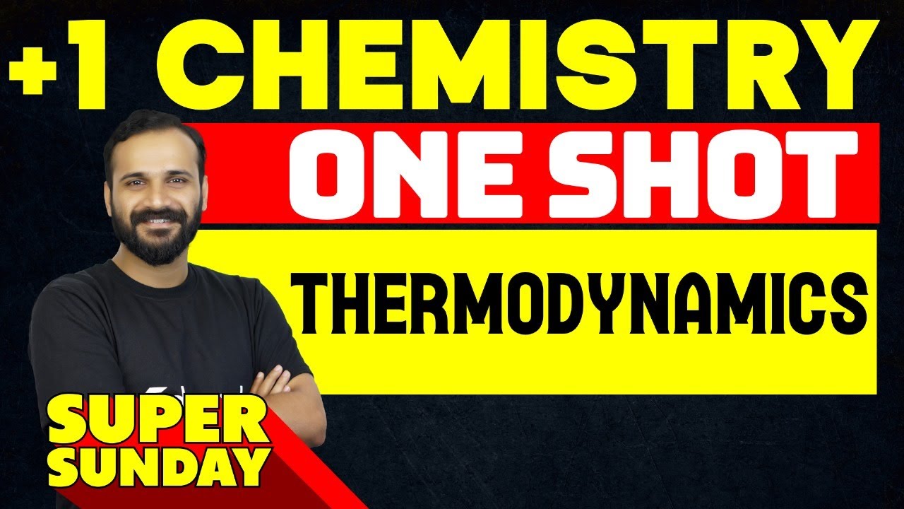 Plus One Chemistry | Thermodynamics  - One Shot | Eduport