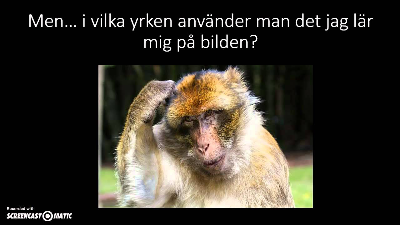 Varför bild?