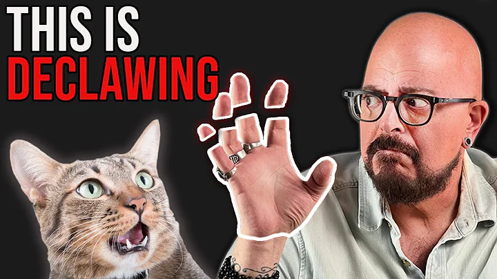 Unveiling the Cruel Reality of Declawing Cats