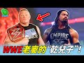 WWE老麥的“乾兒子”！最激烈的一場鬥爭！【WWE最強野獸大布#17】