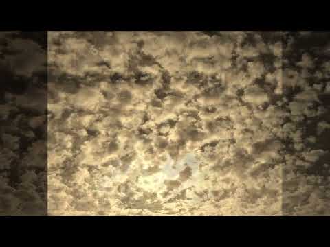 Delayscape — Delayscape - Trichoir