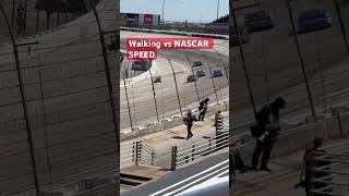 NASCAR human walking vs Car Speed Texas Motor Speedway