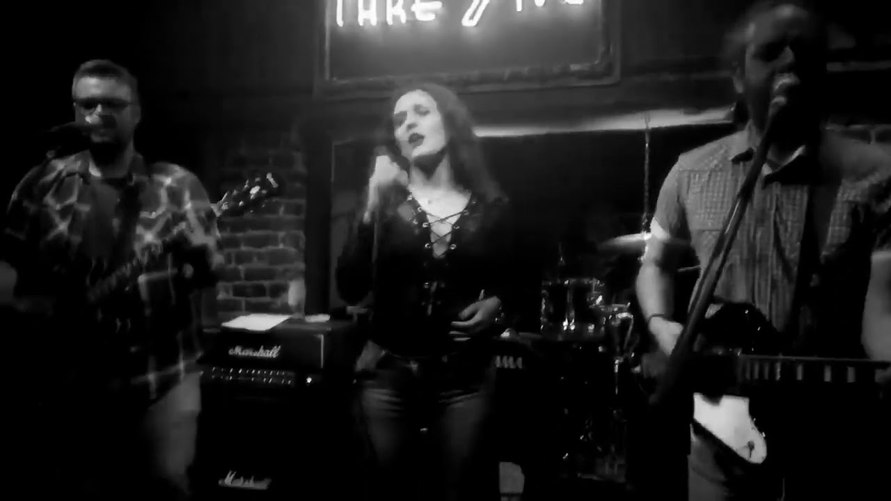 AudioBee Live Session