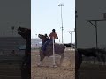 #nsca #omoksee #horse #rodeo #westernmedia #western #westernriding #aqha #youtubeshorts #subscribe