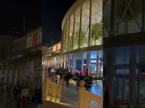 Dubai Mall / night view