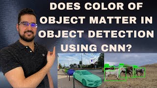 Does object color impact the performance of object detection using CNN?