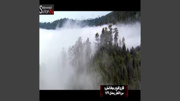 عبد الله المطرود سورة الحشر