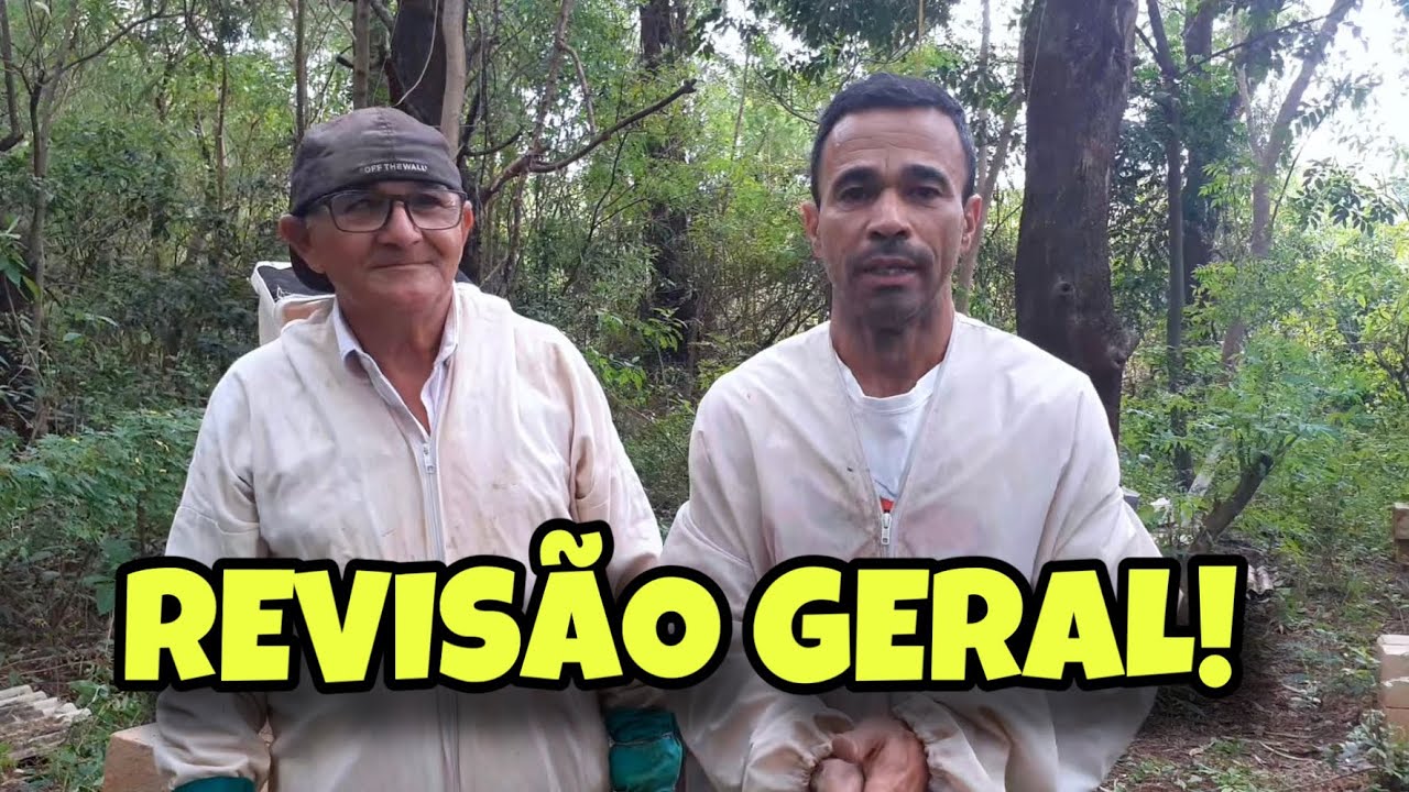 DICAS IMPORTANTES DE REVISÃO E OLHA QUEM VOLTOU !