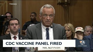 CDC Vaccine Panel fired