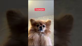 Пузик Подставляешь