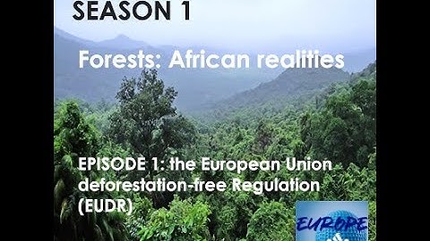 Forests: African realities, Episode 1, The EU Deforestation-free Regulation (EUDR)