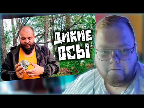 РЕАКЦИЯ T2x2: ЕДА ДЛЯ ВЫЖИВАНИЯ В ПРИРОДНЫХ УСЛОВИЯХ - ДИКИЕ ОСЫ