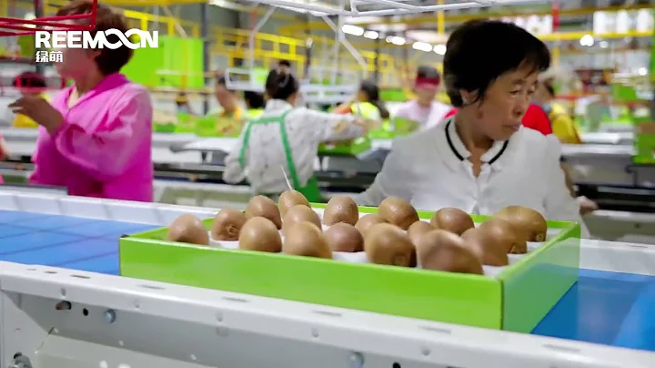 Beike Kiwifruit Line - REEMOON