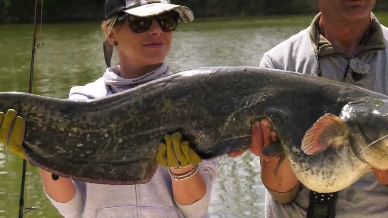 I Predatori dei Laghi di Mantova (Herakles)