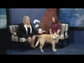Pet of the Week: Laya