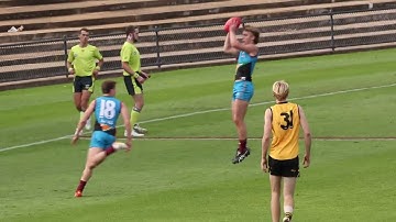 2023 AFL Draft player highlights: Ryley Sanders