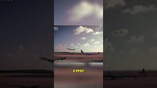 Shocking Crime: The Gruesome Murder of Didi Blanchard