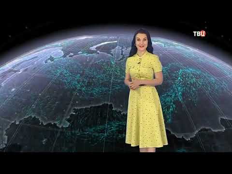 Смотреть прогноз погоды на 19.3.2024, видео погода НТВ, ТВЦ, Звезда, Гидрометцентр России