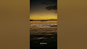 سورة الفرقان من الآية 72 - 75    الشيخ محمد اللحيدان