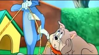 Tom And Jerry Cartoon Fit Be Bound Funny