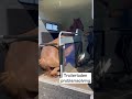 Trailer Laden Oplossing Op Mijn Kanaal Lovemysubscribers Horsetrainer Paard Horsemanship