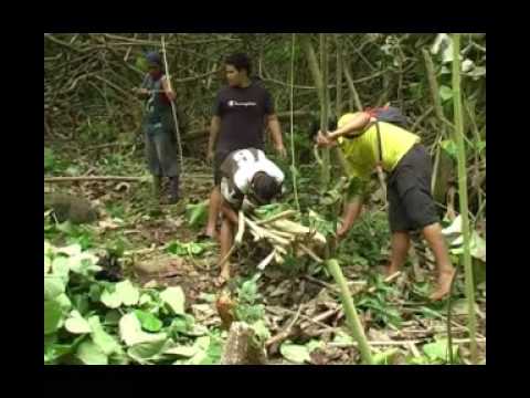 Oire Nikao prepares for Te Maeva Nui - YouTube Wendy Evans