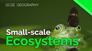 Small-scale ecosystems | AQA GCSE 9-1 Geography