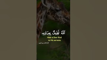 الله لطيف بعباده يرزق من يشاء وهو القوي العزيز #قرآن كريم #صباح_الخير  #كرومات_قرآن