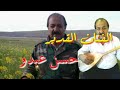 الفنان حسن عبدو Hesen Abdo Bavê Abdo الفنان حسن عبدو Hesen Abdo Bavê Abdo