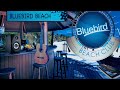 Bluebird Beach - Bluebird Beach Club