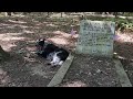 UFOs, Bigfoot and the Peddler's Grave