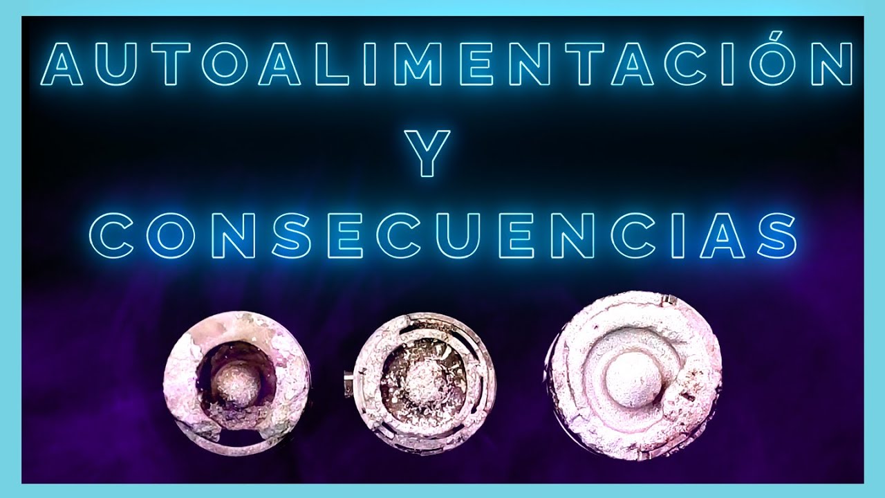 AUTOALIMENTACION motor, retroalimentacion diesel, autocombustion. CAUSAS mecanica | Motorparts