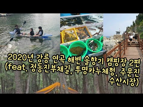 [낚시대마왕] 2020년 강릉 솔향기 가족 캠핑 2편/ 강릉 여행 코스/ 정동진 부채길/ 주문진 투명 카약체험/ 수산시장