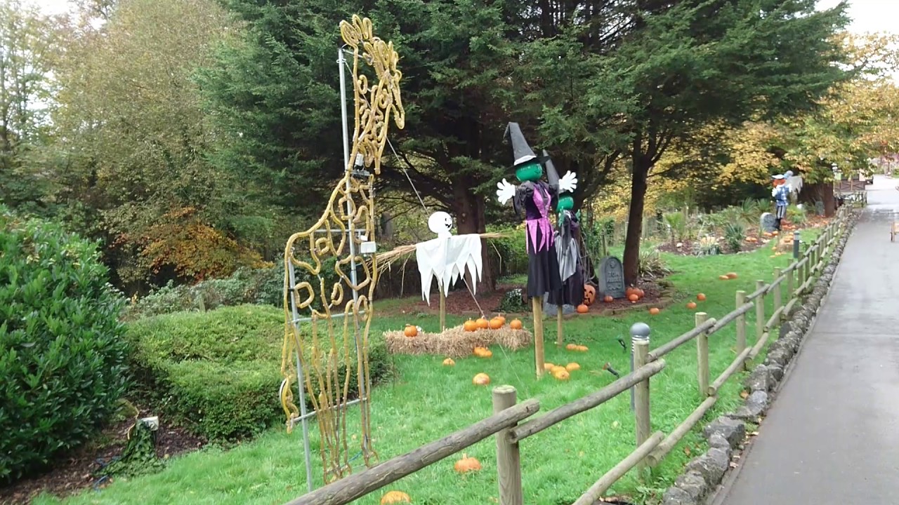 Halloween At West Midlands Safari Park, Bewdley, 29 October 2016 YouTube
