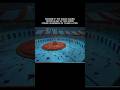 Pov The Squid Games Never Blew Up And Were Years Later Shorts Pov The Squid Games Never Blew Up And Were Years Later Shorts