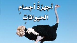 علوم شرح درس اجهزة اجسام الحيوانات للصف الرابع الفصل الدراسي الاول