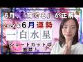 【2026年6月】一白水星さん運勢❗️6月は「育てる」が正解🌱そしてショートカットは厳禁❗️
